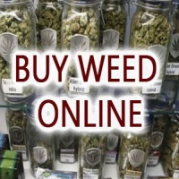 JustPasteIt profile picture for @Marijuana