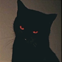 JustPasteIt profile picture for @DRIVEN