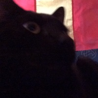 JustPasteIt profile picture for @Soupy