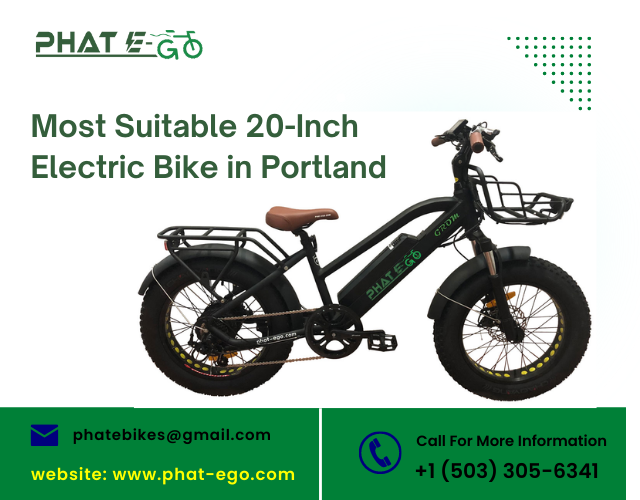 electric bike for big and tall