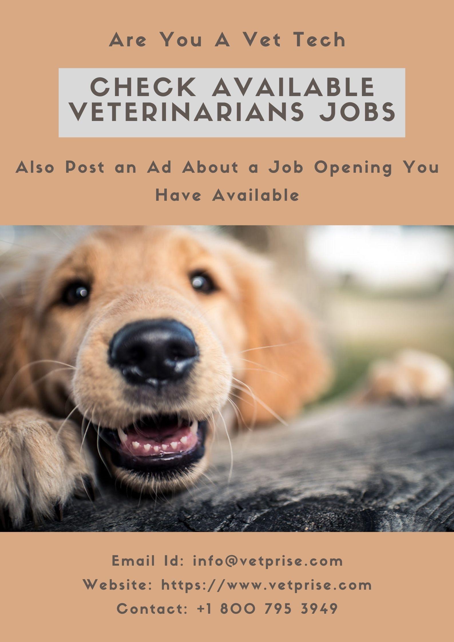 Available Veterinarians Jobs - JustPaste.it