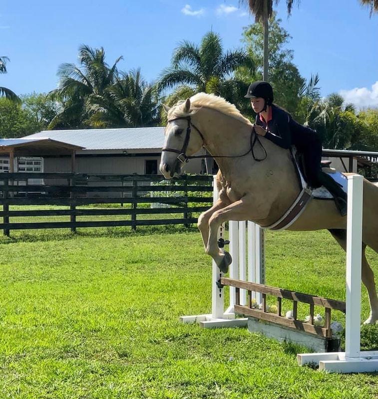 Apple Creek Farm horse show series Apple Creek Farm horse JustPaste.it