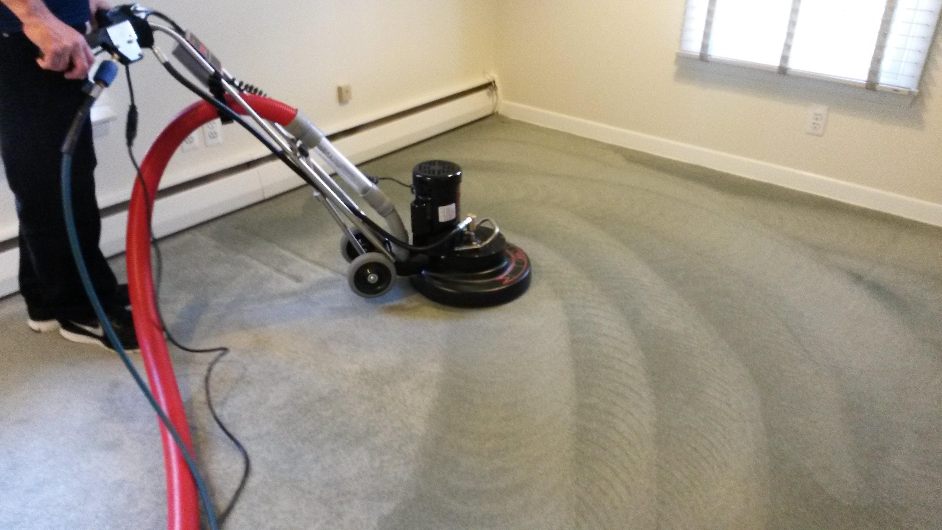 Sun Carpet Cleaning Is A Quality Carpet Cleaner Christchurch JustPaste.it