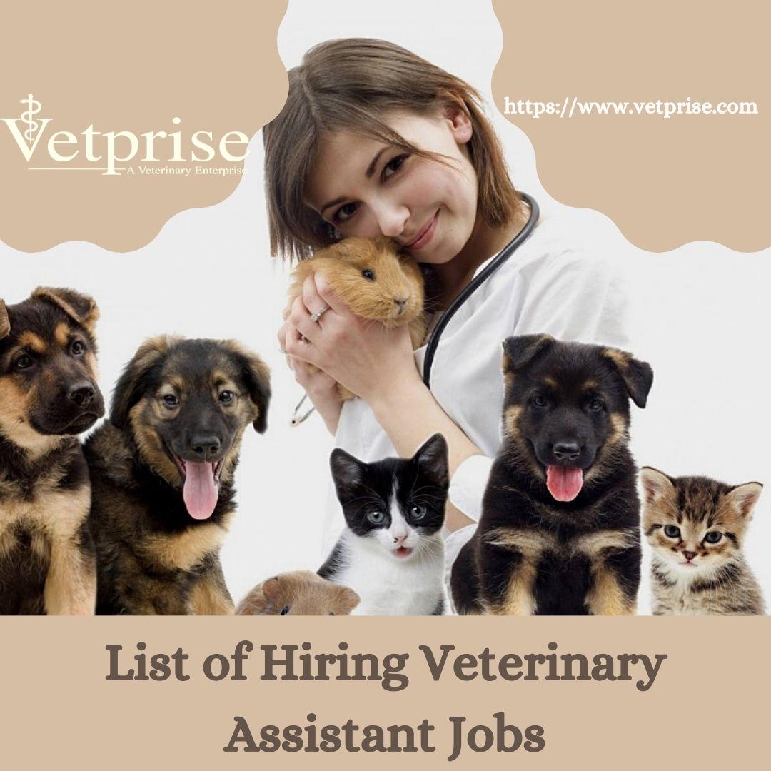 List of Hiring Veterinary Assistant Jobs - JustPaste.it