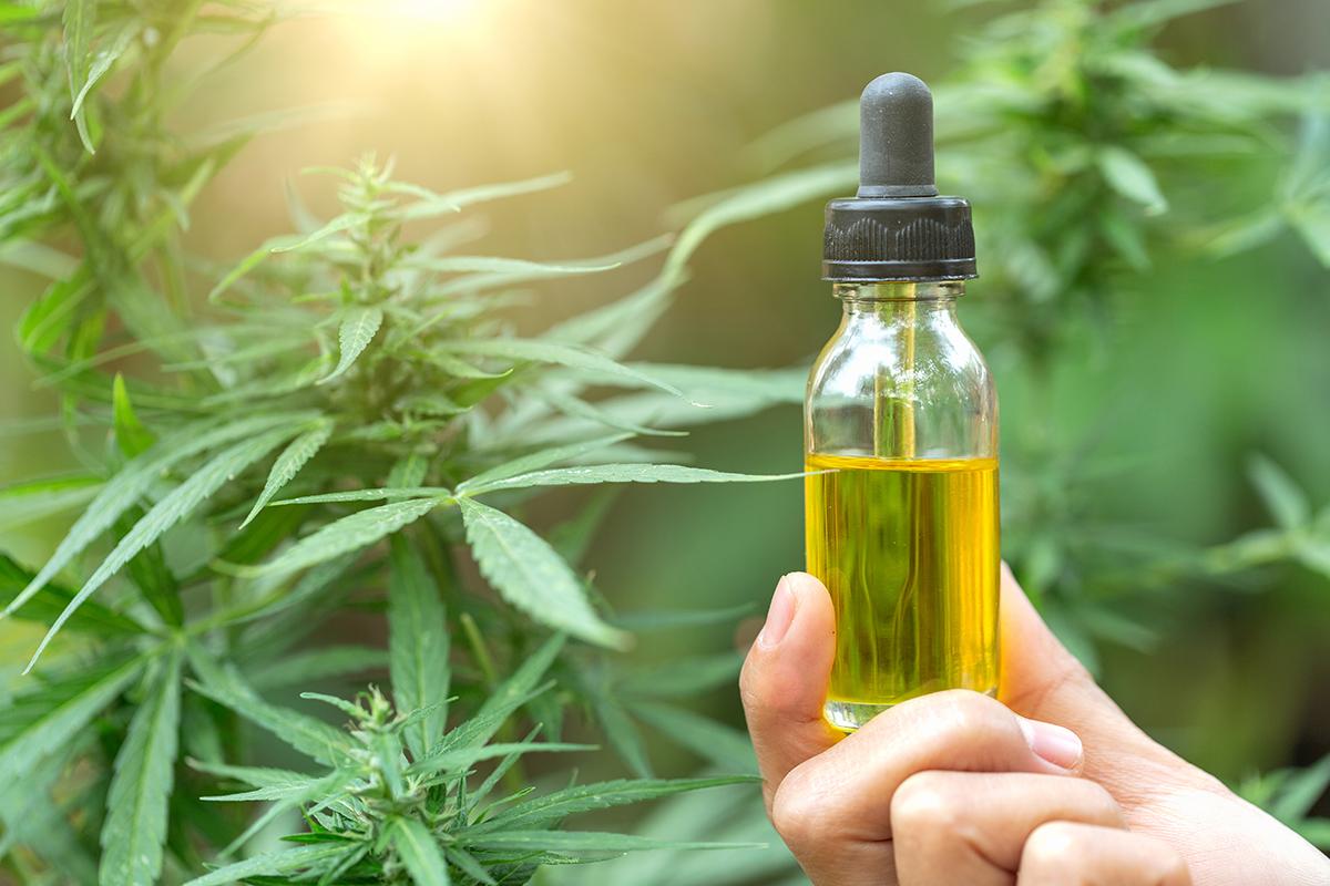 CBD oil and cancer: What the research shows