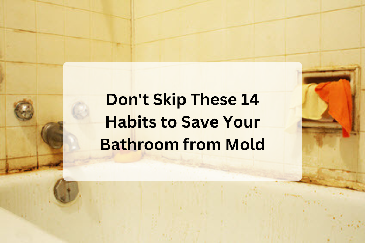 Don't Skip These 14 Habits to Save Your Bathroom from Mold