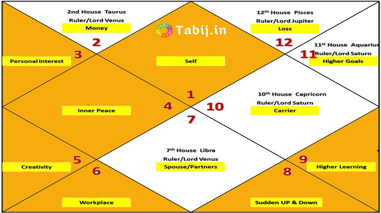 Free Kundali Reading: Kundali Analysis Based On The Different Houses By ...