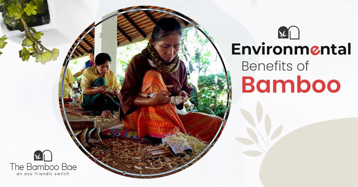 Environmental Benefits of Bamboo JustPaste.it