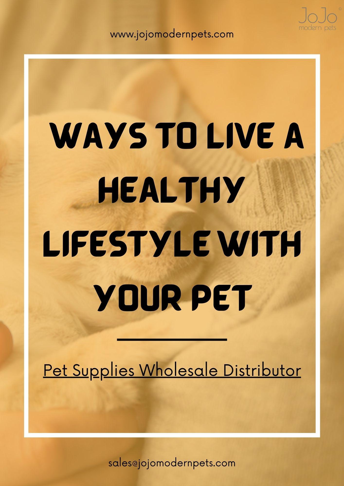 Pet Supplies Wholesale Distributor Live a Healthy Lifestyle with Your