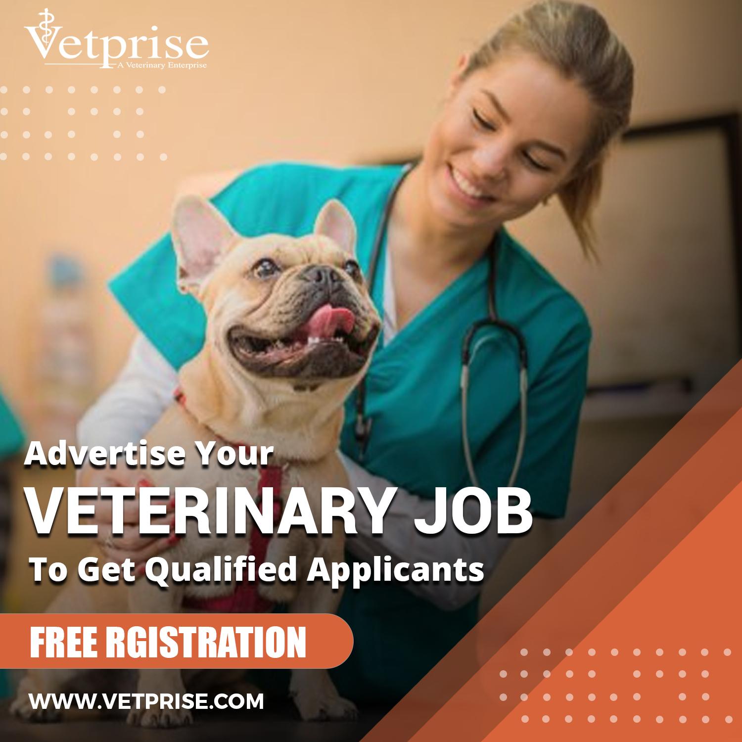 Search Veterinarian Assistant Jobs - JustPaste.it