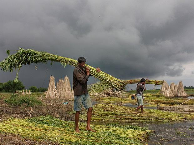 farmers, agriculture, MONSOON, produce, products, grains, apmc, market, msp, godown, cold storage, farming, farmers