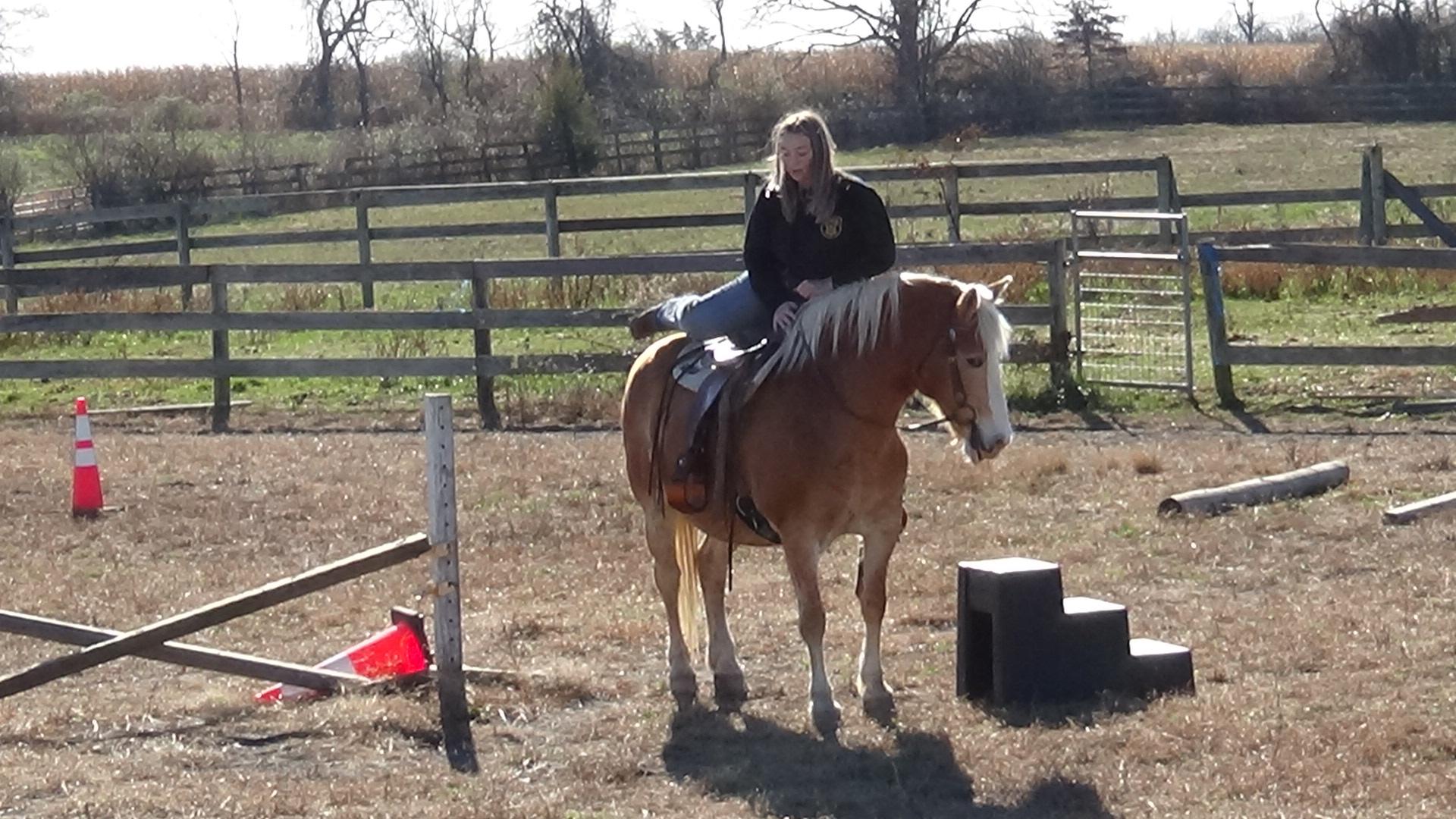 Apple Creek Farm Horse Show Highlights Local Talent JustPaste.it