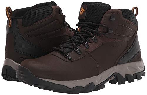 Columbia mens Newton Ridge Plus Ii Waterproof Hiking Boot, Cordovan/Squash, 7 US