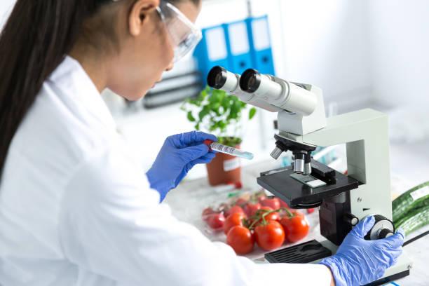 food-safety-testing-market-development-status-competition-analysis