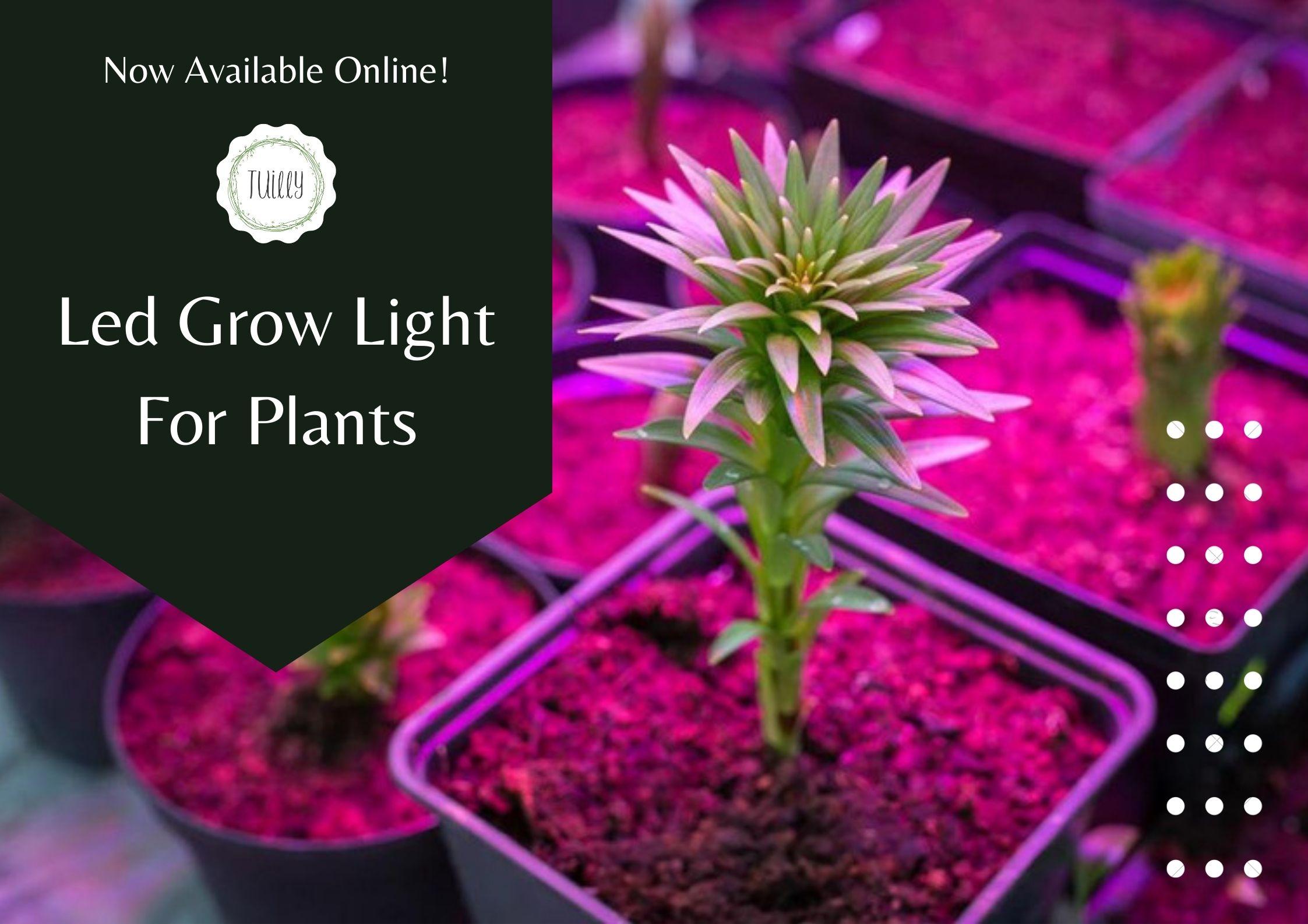 artificial light sources for plants