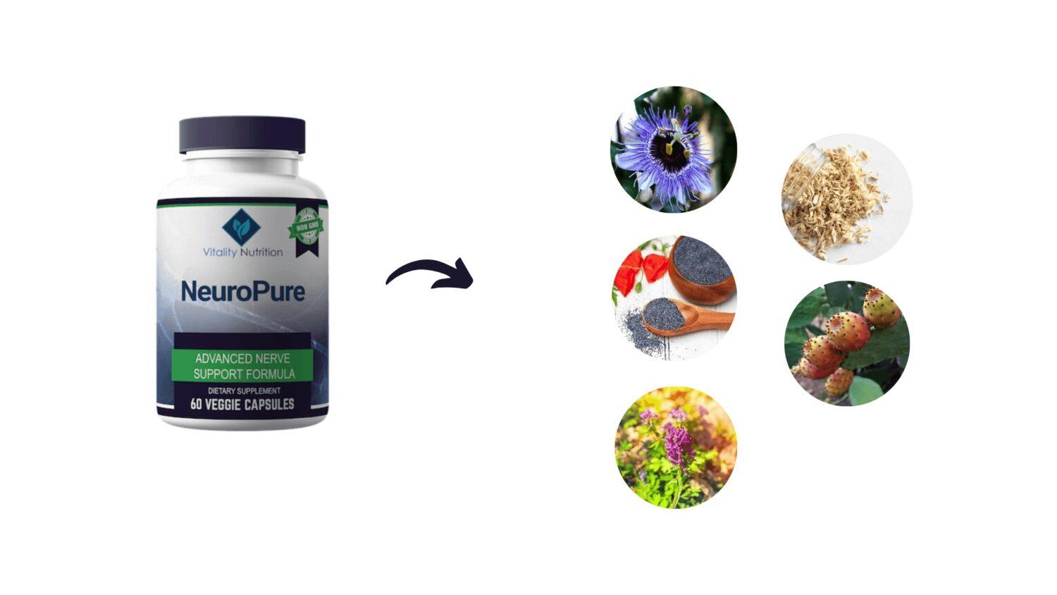 Neuro Pure Reviews: No Fake Ingredients, Chemicals, Synthetics | TechPlanet