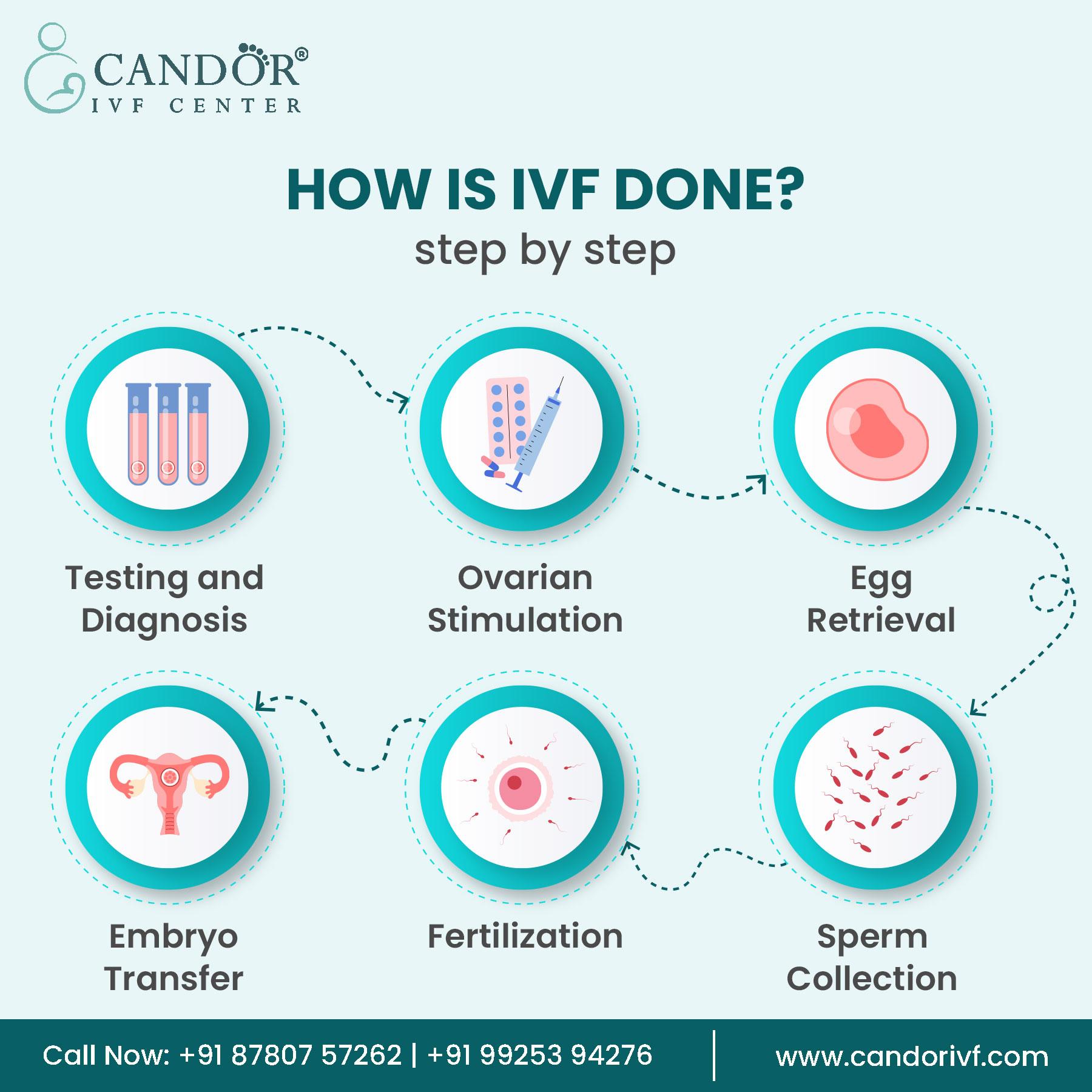 Ivf Treatment Process Justpaste It