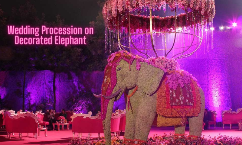 Wedding Procession on Decorated Elephant