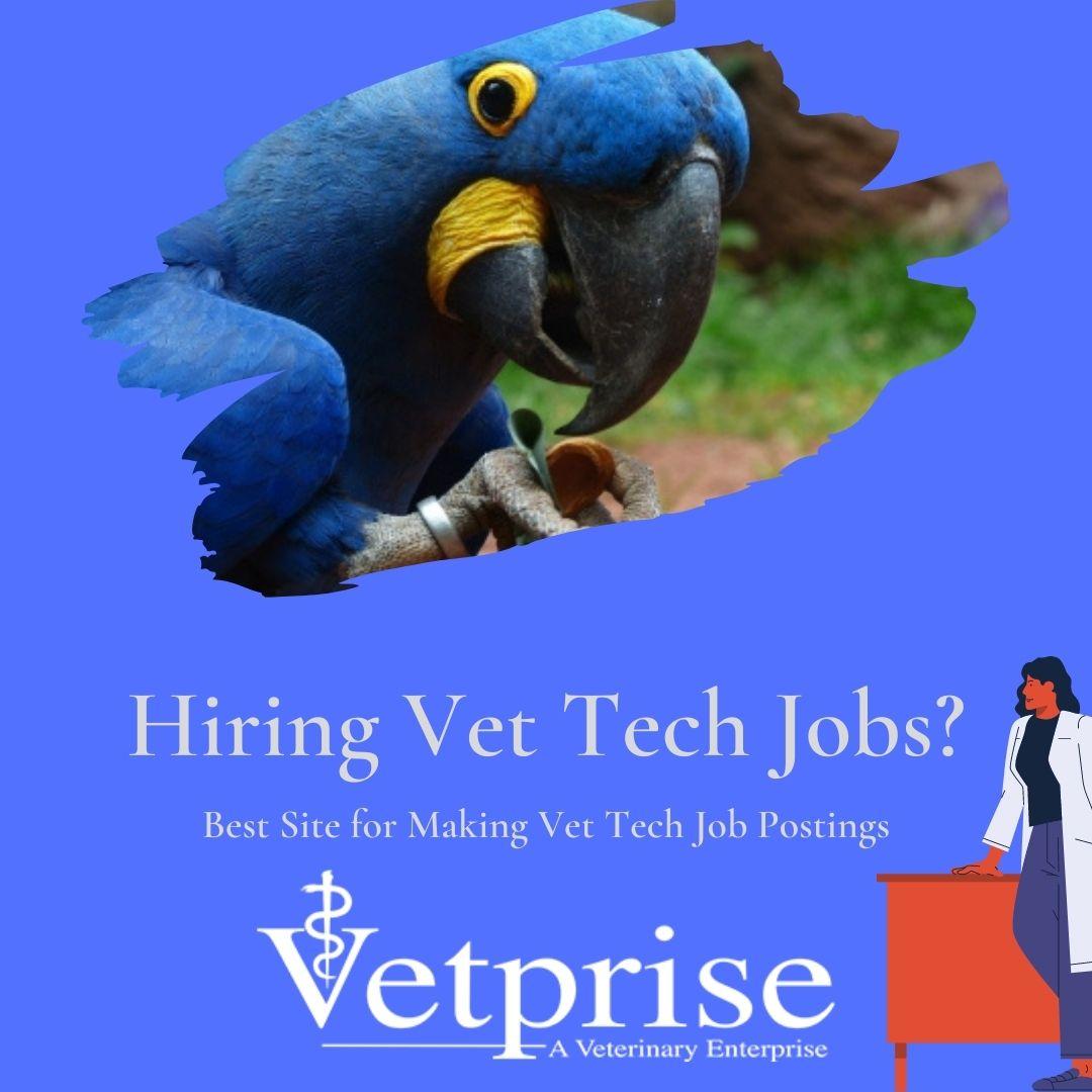 Hiring Vet Tech Jobs JustPaste it