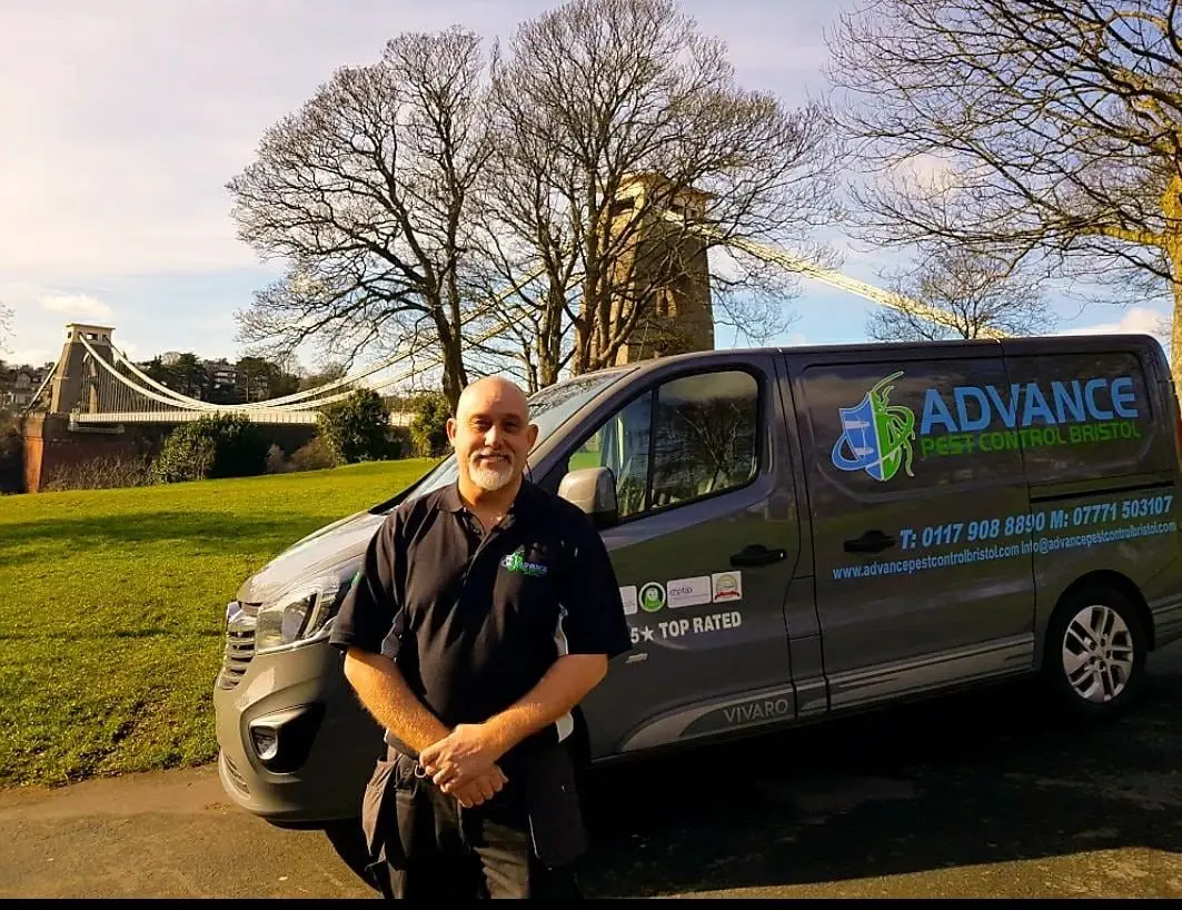 Pest Control Bristol