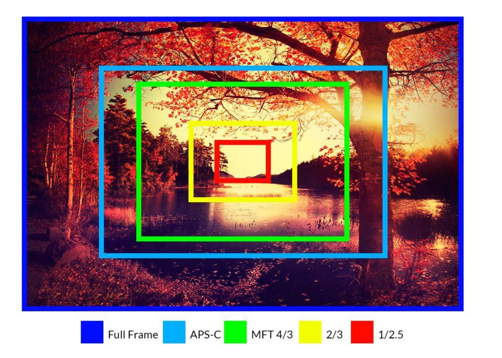 Camera Sensor Size Explained + Sensor Chart JustPaste.it