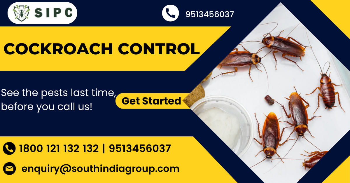 Best Cockroach Control in Chennai JustPaste.it