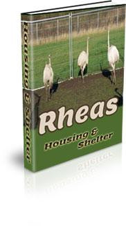 rhea housing