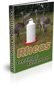 rhea feeding