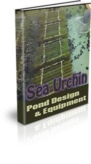 sea urchin pond design
