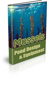 Mussels Pond Design