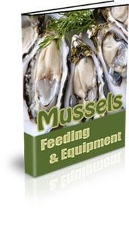 Mussels Feeding