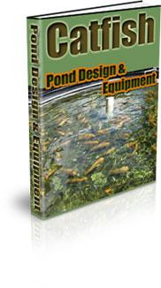catfish pond design