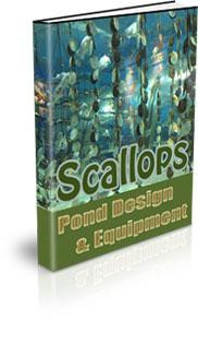 scallops ponds