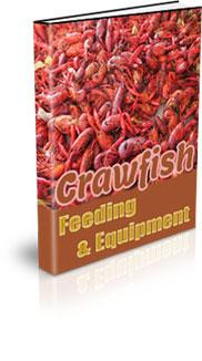 crawfish feeding