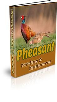 Pheasant Feeding