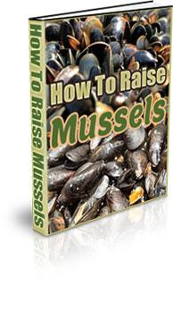 how to raise mussels