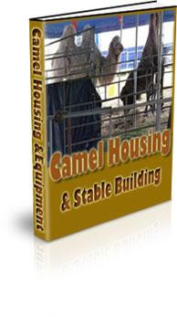 Camel Housing