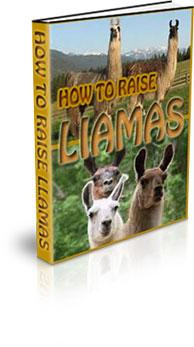 How To Raise Llamas