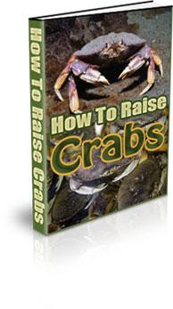 how to raise crabs