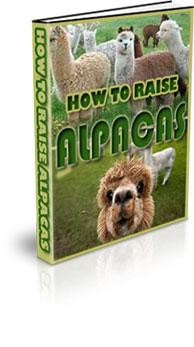 How To Raise Alpacas