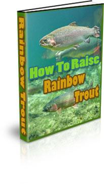 how to raise rainbow trout