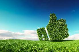 environmentalcomplianceservices.jfif