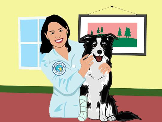 free-tips-for-veterinary-care-services-justpaste-it