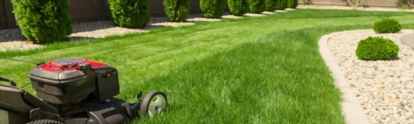 lawn-mowing-meaning-benefits-and-more-justpaste-it