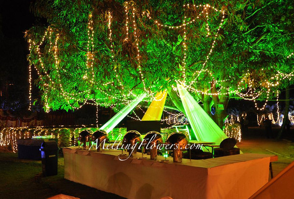 Indian Greens Wedding Decoration Ideas