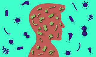 De nombreuses idées fausses circulent au sujet du  microbiote humain. Image conceptuelle.