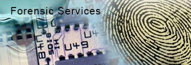 forensic-investigation-and-detective-services.jpg