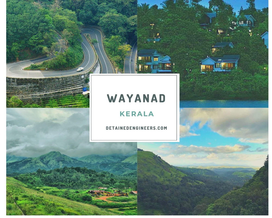 wayanad.jpg