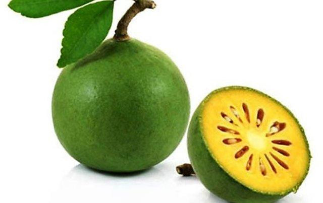 Bilva Fruit – Medicinal Benefits - JustPaste.it