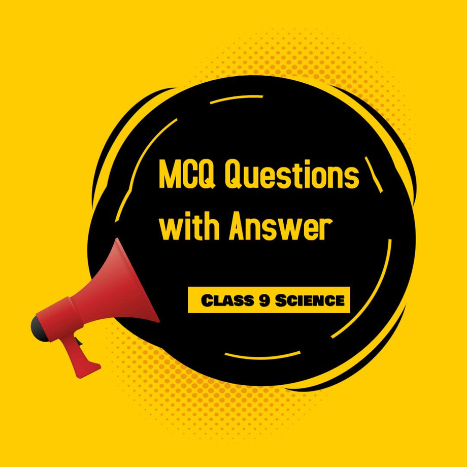 how-do-mcq-questions-benefit-the-class-9th-students-justpaste-it